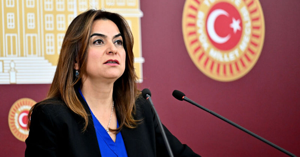 DEM Parti’den İmralı ziyareti açıklaması